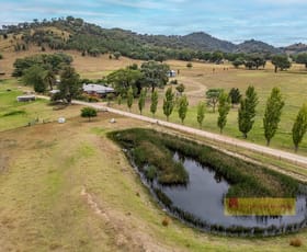 Rural / Farming commercial property for sale at 2099 Hill End Road Mudgee NSW 2850