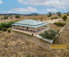 Rural / Farming commercial property for sale at 1946 Aarons Pass Road Mudgee NSW 2850 Rural / Farming commercial property for sale at 1946 Aarons Pass Road Mudgee NSW 2850