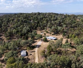 Rural / Farming commercial property for sale at 117 Ridge Road Mudgee NSW 2850