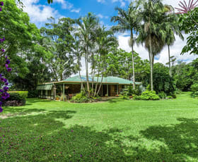Rural / Farming commercial property for sale at 381 Booyong Road Nashua NSW 2479