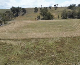 Rural / Farming commercial property for sale at Lot 149 & 1 Ilford Sofala Rd Ilford NSW 2850