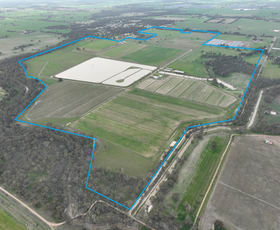 Rural / Farming commercial property for sale at 1 Warneckie Street Wunghnu VIC 3635