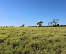 Rural / Farming commercial property for sale at 1468 Benlidi Idalia Road Blackall QLD 4472