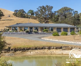 Rural / Farming commercial property for sale at 75 Paddys Dam Road Tooborac VIC 3522
