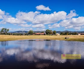 Rural / Farming commercial property for sale at 411 Spring Flat Road Mudgee NSW 2850