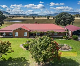 Rural / Farming commercial property for sale at 411 Spring Flat Road Mudgee NSW 2850