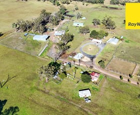 Rural / Farming commercial property for sale at 404 New Valley Road, TINGHA Inverell NSW 2360