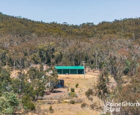 Rural / Farming commercial property for sale at 42 Point Ondyong Road Currawang NSW 2580