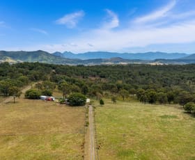 Rural / Farming commercial property for sale at 1070 Boonah Rathdowney Road Wallaces Creek QLD 4310