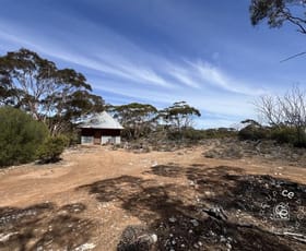 Rural / Farming commercial property for sale at Lot 8 Broncos Road Sedan SA 5353