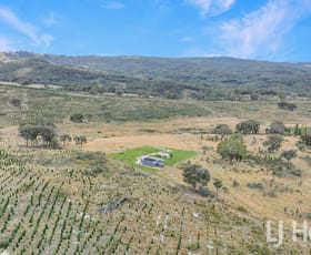 Rural / Farming commercial property for sale at 225 Bradene Road Neville NSW 2799