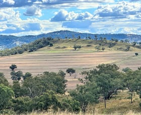 Rural / Farming commercial property for sale at "Kyooma" 535 Black Gully Road Werris Creek NSW 2341