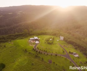 Rural / Farming commercial property for sale at 92 Graydons Road Pointer Mountain NSW 2539