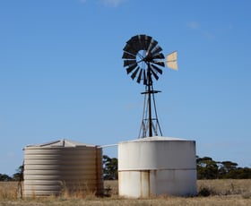 Rural / Farming commercial property for sale at 281 Kielow Road Peake SA 5301