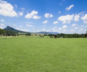 Rural / Farming commercial property for sale at 18108 Clarence Way Urbenville NSW 2475