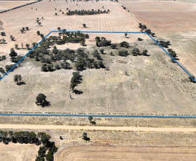 Rural / Farming commercial property for sale at Lot 1, Womboota Rd, Womboota via Moama, NSW 2731 Womboota NSW 2731