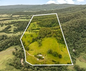 Rural / Farming commercial property for sale at 239 Bulli Creek Road Byabarra NSW 2446