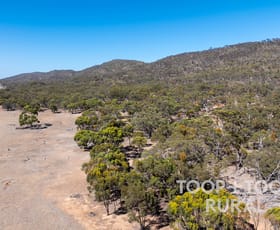 Rural / Farming commercial property for sale at 1705 Ngapala Road Ngapala SA 5374