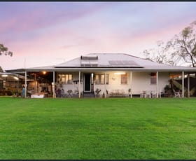 Rural / Farming commercial property for sale at 527 Harding Road Alton Downs QLD 4702