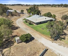 Rural / Farming commercial property for sale at "Alfalfa"/334 Todds Road Deniliquin NSW 2710