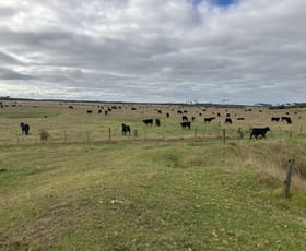 Rural / Farming commercial property for sale at 3470 North Road Egg Lagoon TAS 7256