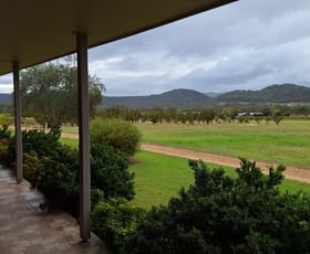 Rural / Farming commercial property for sale at 51 Ricca Road Ballandean QLD 4382