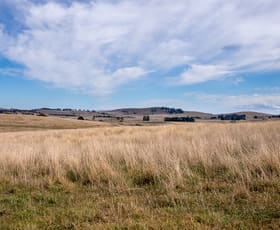Rural / Farming commercial property for sale at 353 Moorilda Road Moorilda NSW 2795