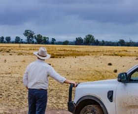 Rural / Farming commercial property for sale at 'Woroona' & 'Tralee' 936 Boorr Hill Road Parkes NSW 2870