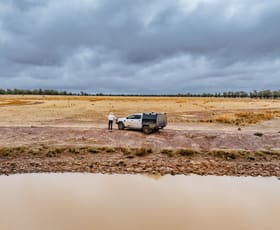 Rural / Farming commercial property for sale at 'Woroona' & 'Tralee' 936 Boorr Hill Road Parkes NSW 2870