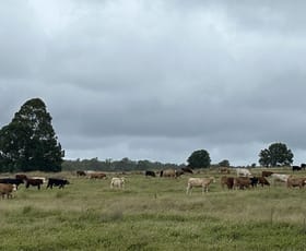 Rural / Farming commercial property for sale at Lot 125 Mount McEuen Road Hivesville QLD 4612