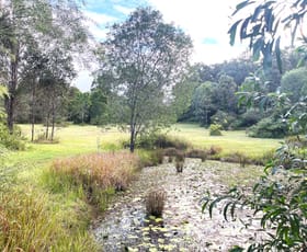 Rural / Farming commercial property for sale at 4470 Beaudesert Nerang Road Beaudesert QLD 4285