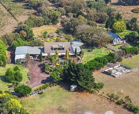 Rural / Farming commercial property for sale at 650 Cape Nelson Road Portland West VIC 3305