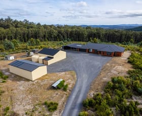 Rural / Farming commercial property for sale at 296a Long Plains Road Exeter TAS 7275