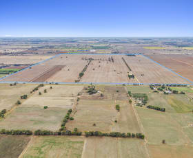 Rural / Farming commercial property for sale at 198 Barnes Road Finley NSW 2713