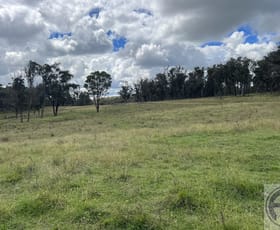 Rural / Farming commercial property for sale at Uralla NSW 2358