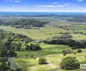 Rural / Farming commercial property for sale at 889 Terranora Road Bungalora NSW 2486