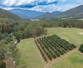 Rural / Farming commercial property for sale at 5B McMahons Lane Smoko VIC 3741