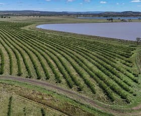Rural / Farming commercial property for sale at "Yetton" Burnett Highway Gayndah QLD 4625