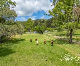 Rural / Farming commercial property for sale at 85-101 F Lindsay Road Rocksberg QLD 4510