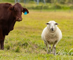Rural / Farming commercial property for sale at 85-101 F Lindsay Road Rocksberg QLD 4510