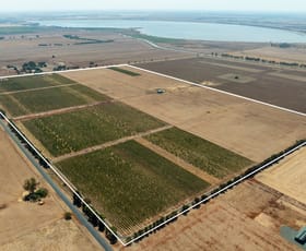 Rural / Farming commercial property for sale at 22 Willoughby Road Burramboot VIC 3559