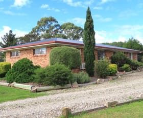 Rural / Farming commercial property for sale at 204 Thulimbah School Road Cottonvale QLD 4375