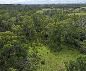 Rural / Farming commercial property for sale at 14 Ningee Nimbell Creek Road Braidwood NSW 2622