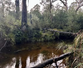 Rural / Farming commercial property for sale at 14 Ningee Nimbell Creek Road Braidwood NSW 2622