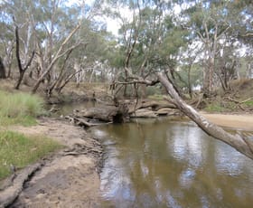 Rural / Farming commercial property for sale at Echuca VIC 3564