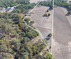 Rural / Farming commercial property for sale at Echuca VIC 3564