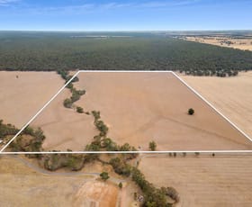 Rural / Farming commercial property for sale at CA 15 & CA 16 Kellys Road Kamarooka VIC 3570