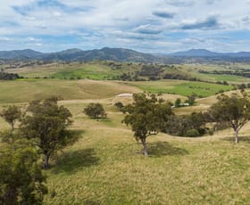 Rural / Farming commercial property for sale at 227 Miranee Road Gundy NSW 2337