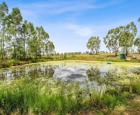 Rural / Farming commercial property for sale at 1516 Mount Walker West Rd Merryvale QLD 4340