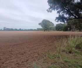 Rural / Farming commercial property for sale at Tooraweenah NSW 2817